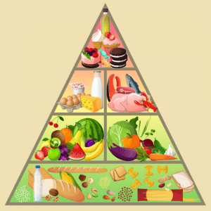 nutrition